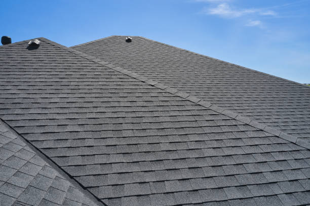 Roof Moss and Algae Removal in Moundville, AL